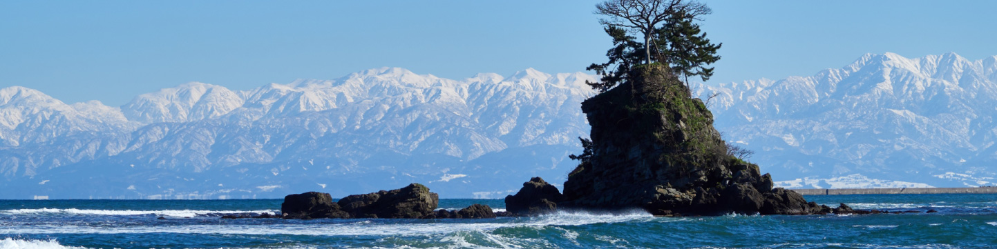 富山 深海の乙女